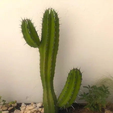 Appartement Stylische In *