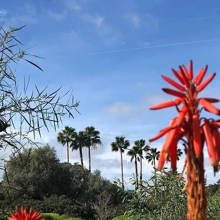 Stylische In * Carvoeiro (Lagoa)